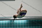 Swimming & Diving vs RWU  Swimming & Diving vs Roger Williams University. - Photo by Keith Nordstrom : Wheaton, Swimming